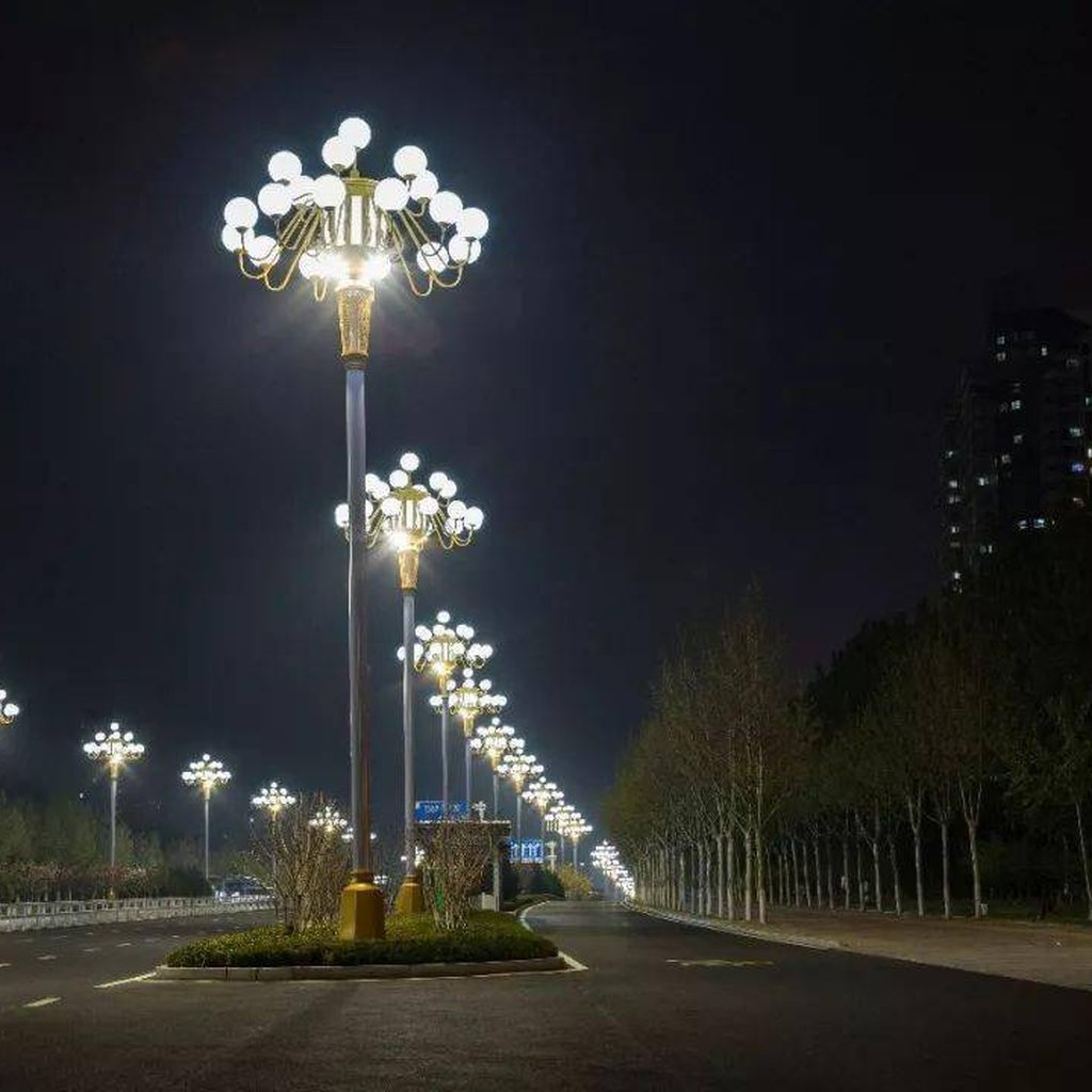 10米以上多头玉兰灯道路亮化夜景实景（点击查看图集）